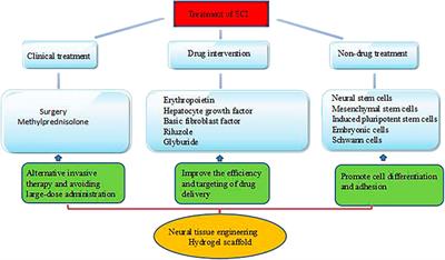 Hydrogels in Spinal Cord Injury Repair: A Review